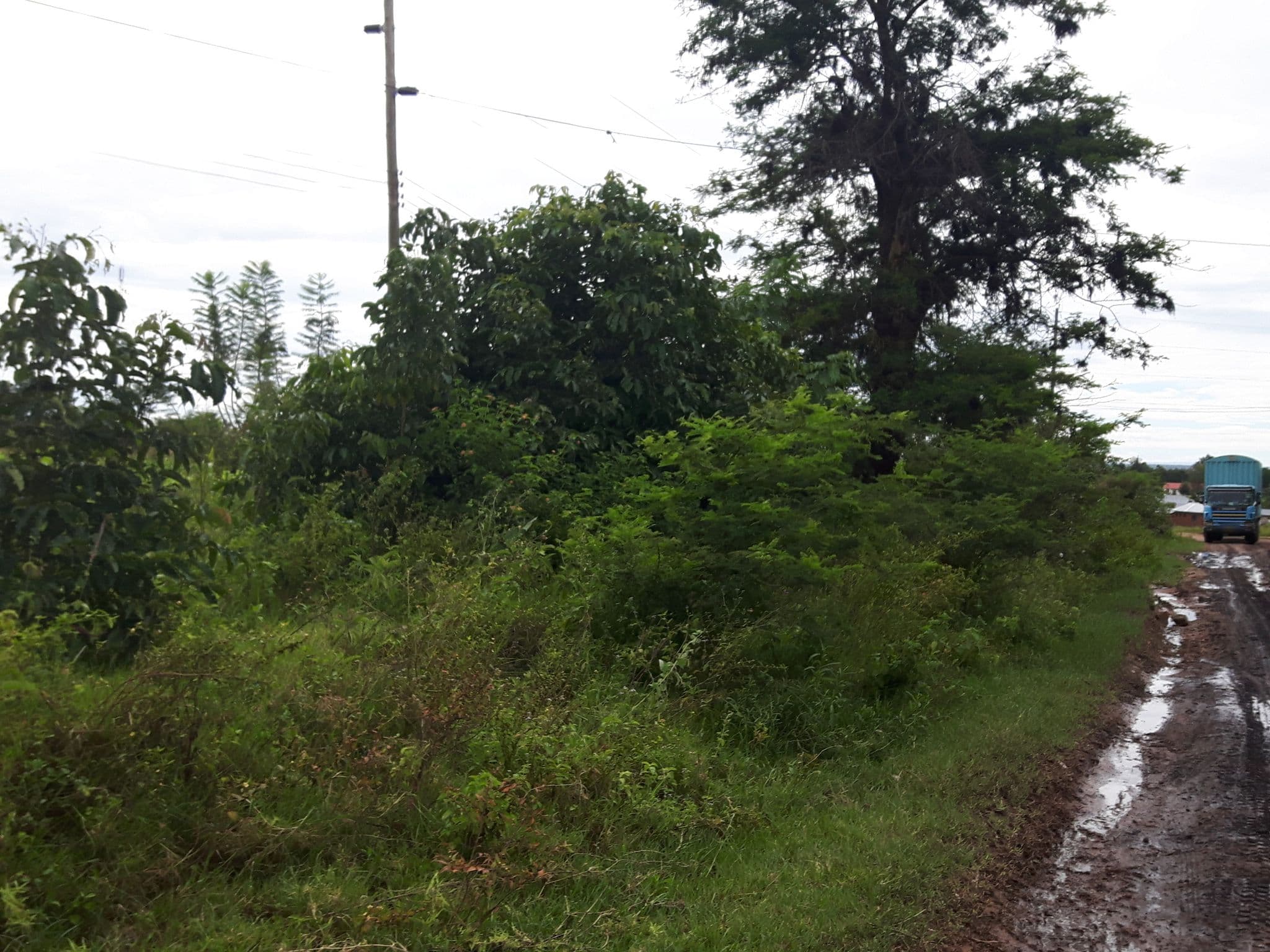 Street view near Nchori Hotel & Guest House, Mugumu