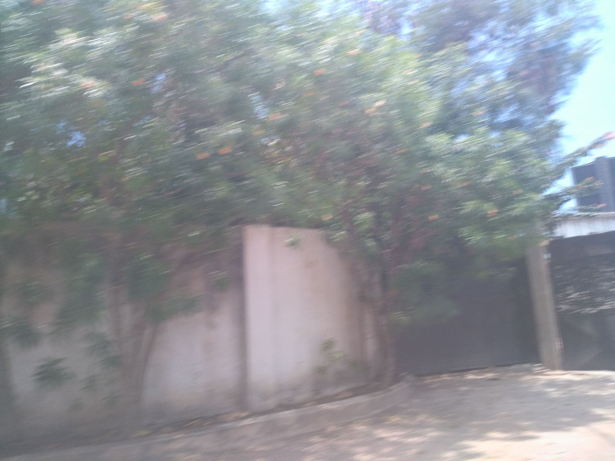 Street view near The Slow Leopard, Magomeni — © ralebipim (CC BY-SA · Mapillary)