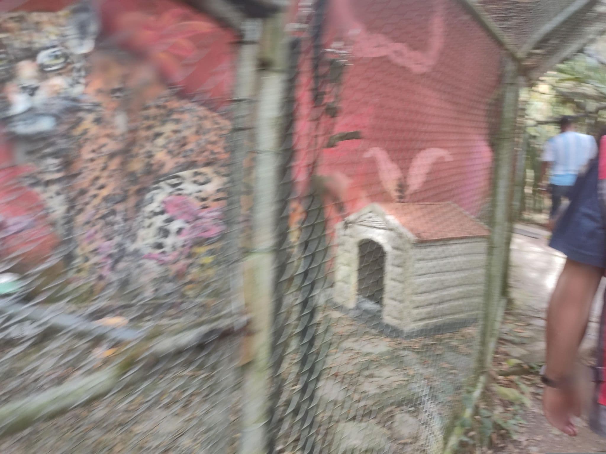 Street view near Senda Verde, Coroico — © ErnestoCuenca (CC BY-SA · Mapillary)