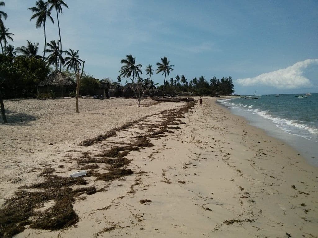 Street view near Ushongos Beach Bandas, Bar & Restaurant, Pangani — © janvanbekkum (CC BY-SA · Mapillary)