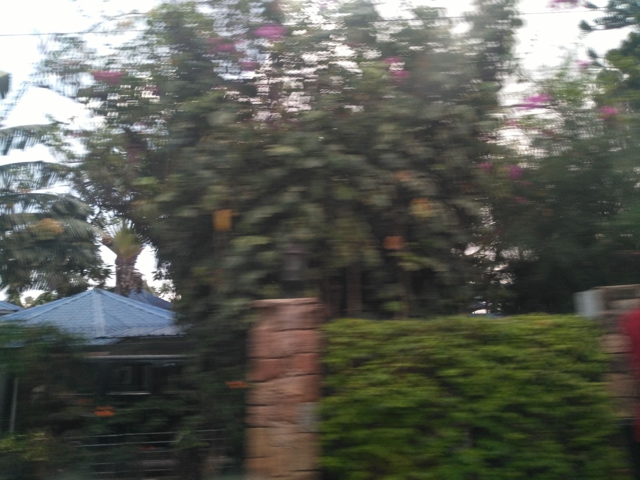 Street view near Hotel Tilapia Ltd, Mwanza