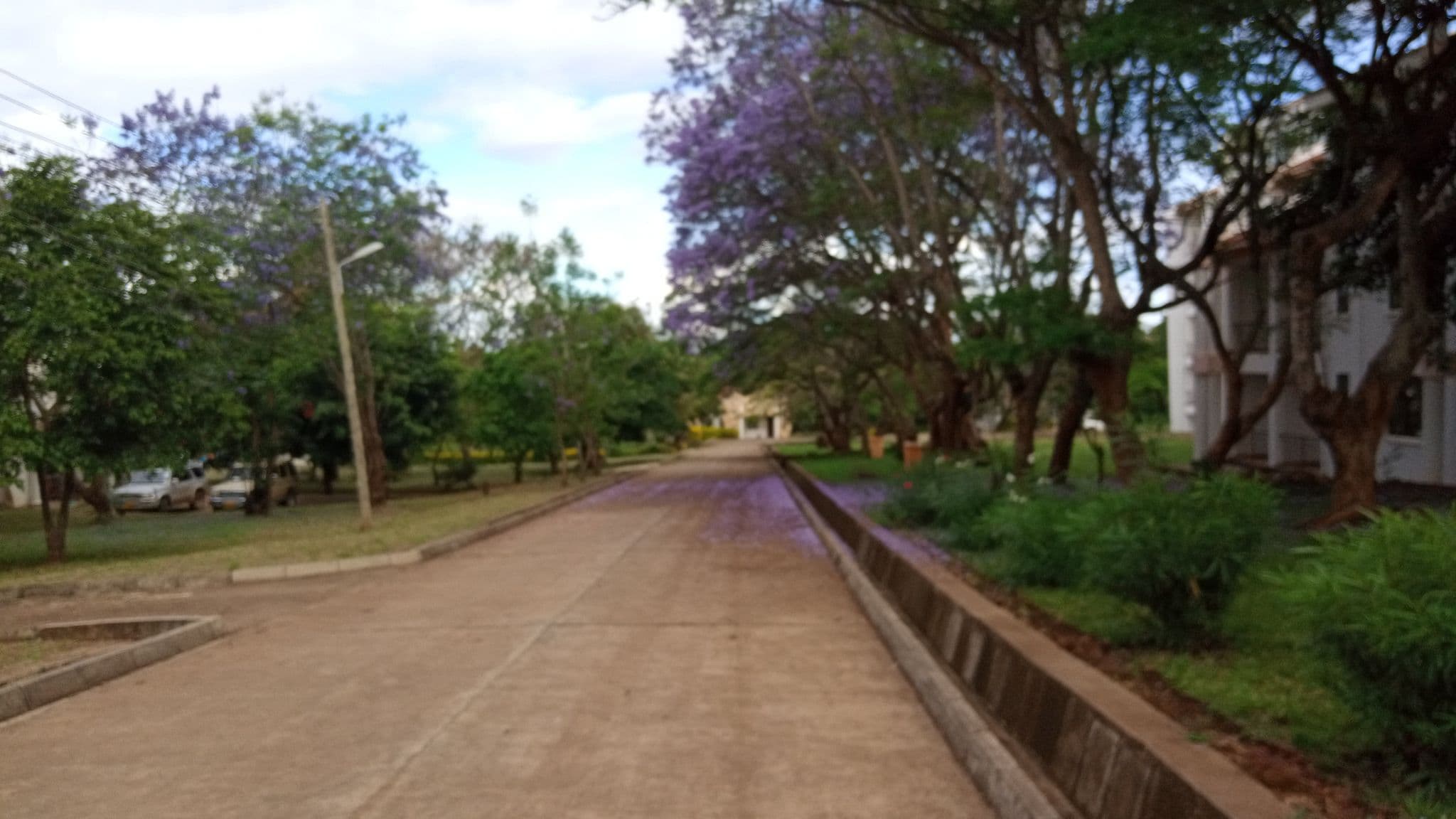 Street view near Main House, Poli — © dshidende (CC BY-SA · Mapillary)