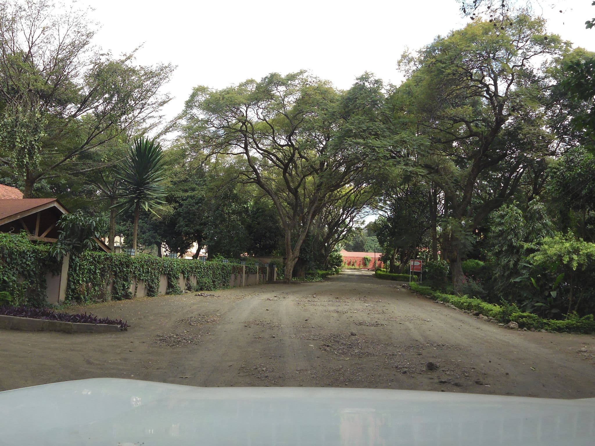 Street view near Bay Leaf, Arusha