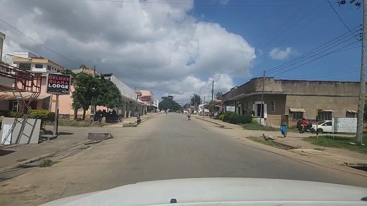 Street view near Ruaha International lodge, Iringa — © roadroid (CC BY-SA · Mapillary)