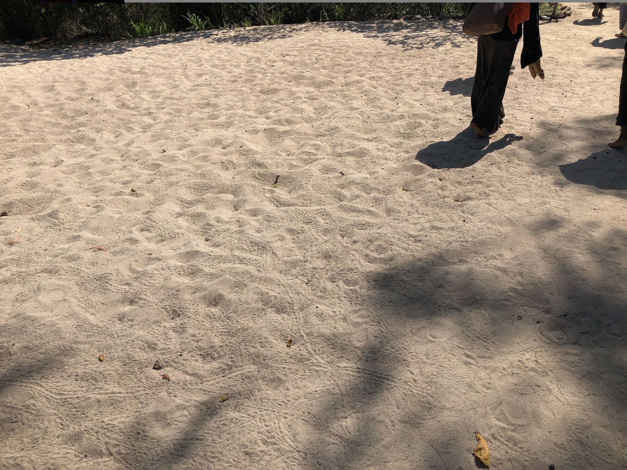 Street view near Chumbe Island Coral Park, Zanzibar — © ibrakhaleed (CC BY-SA · Mapillary)