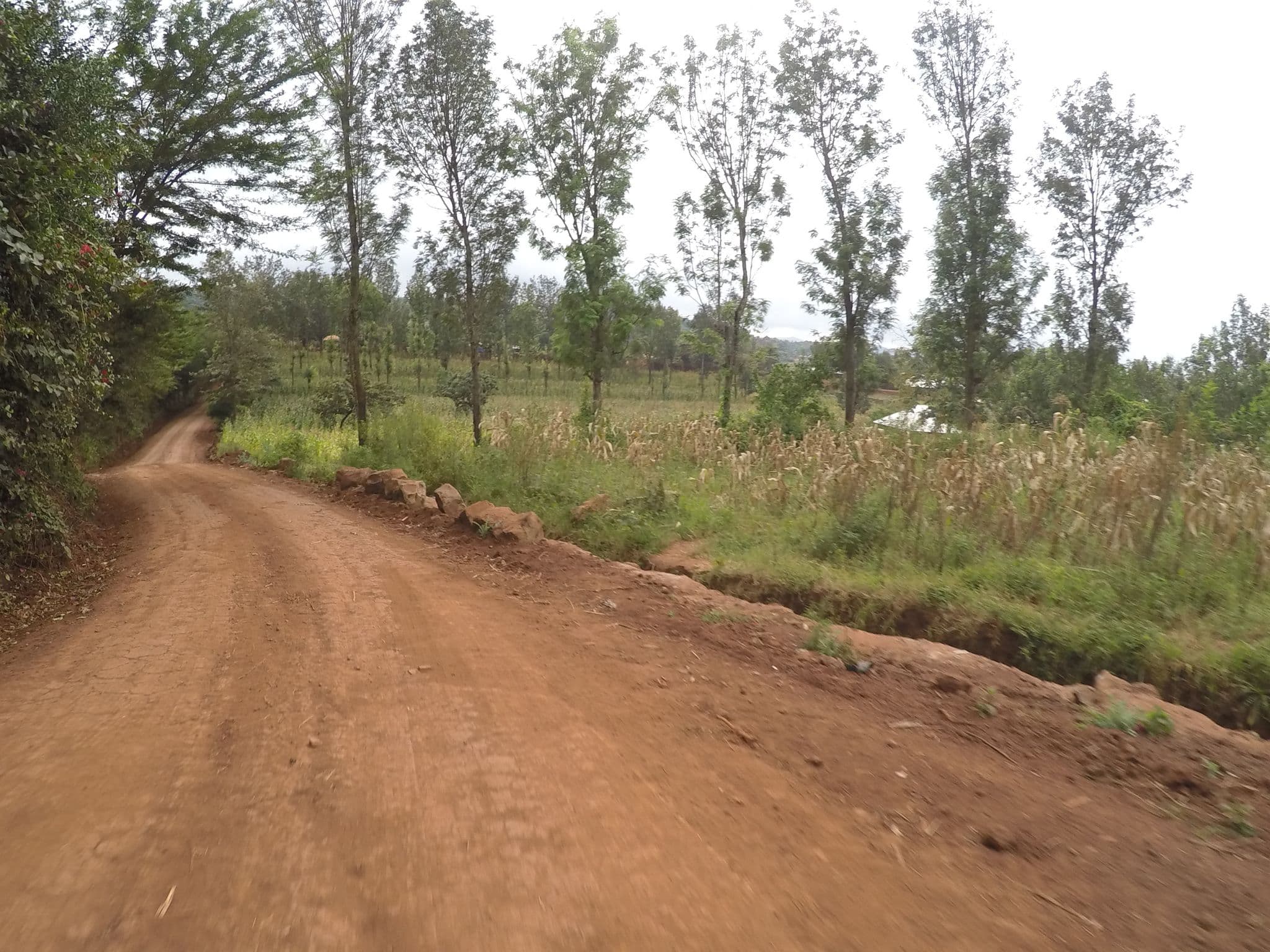 Street view near Highview Hotel, Kiratu — © rkiselev (CC BY-SA · Mapillary)