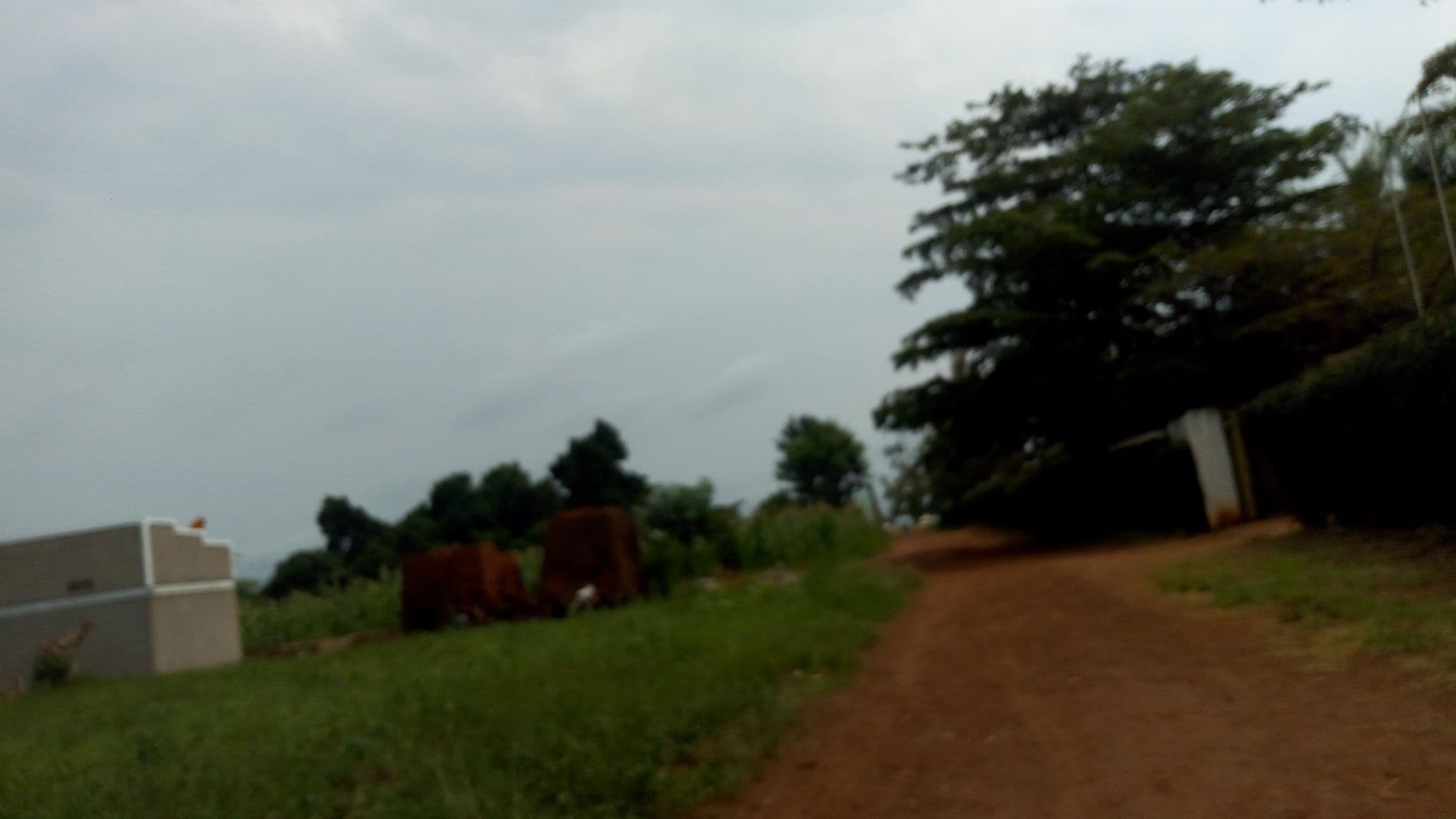Street view near Max hotel kigumba, Kigumba — © jozef020 (CC BY-SA · Mapillary)