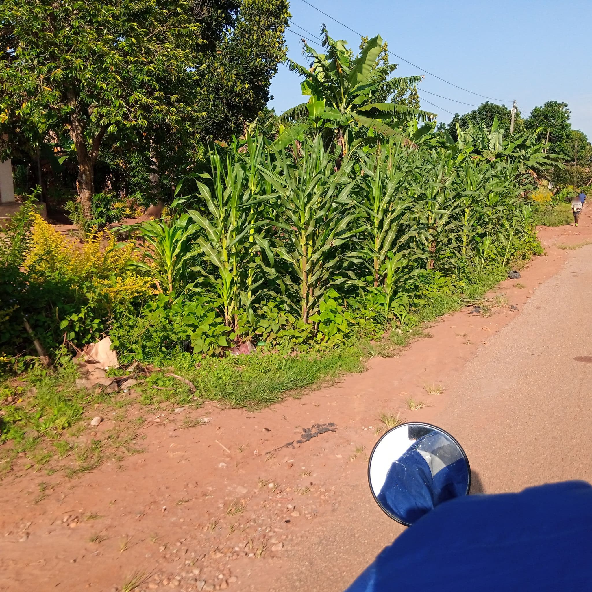 Street view near Kuwumula Guesthouse, Masaka — © namakulalindah (CC BY-SA · Mapillary)