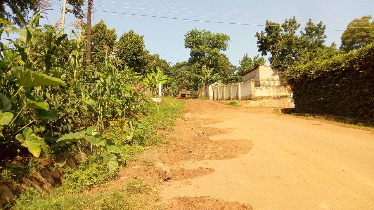 Street view near City Comfort, Kampala