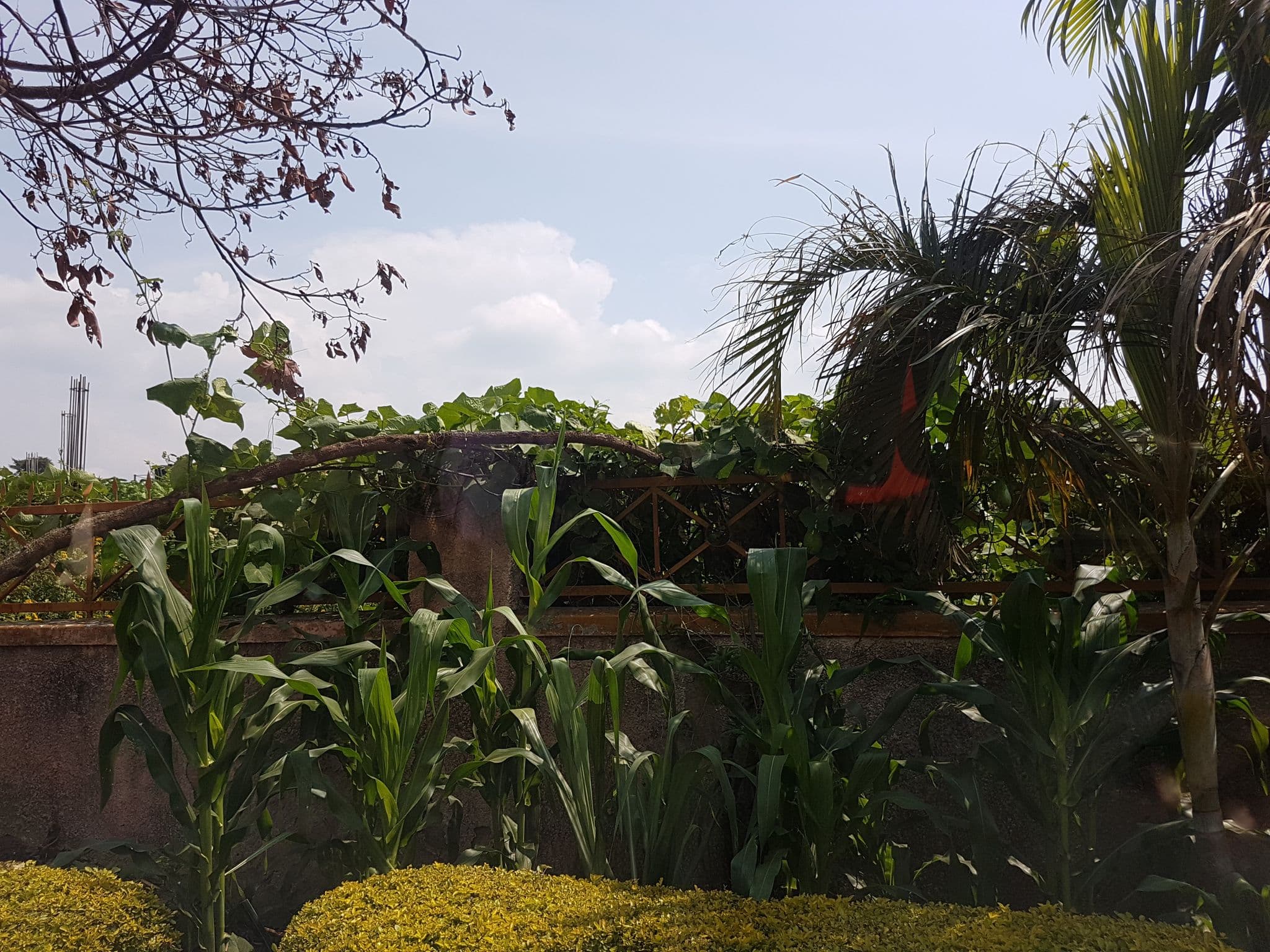 Street view near Countryside Guest House, Kisoro — © shamillah (CC BY-SA · Mapillary)