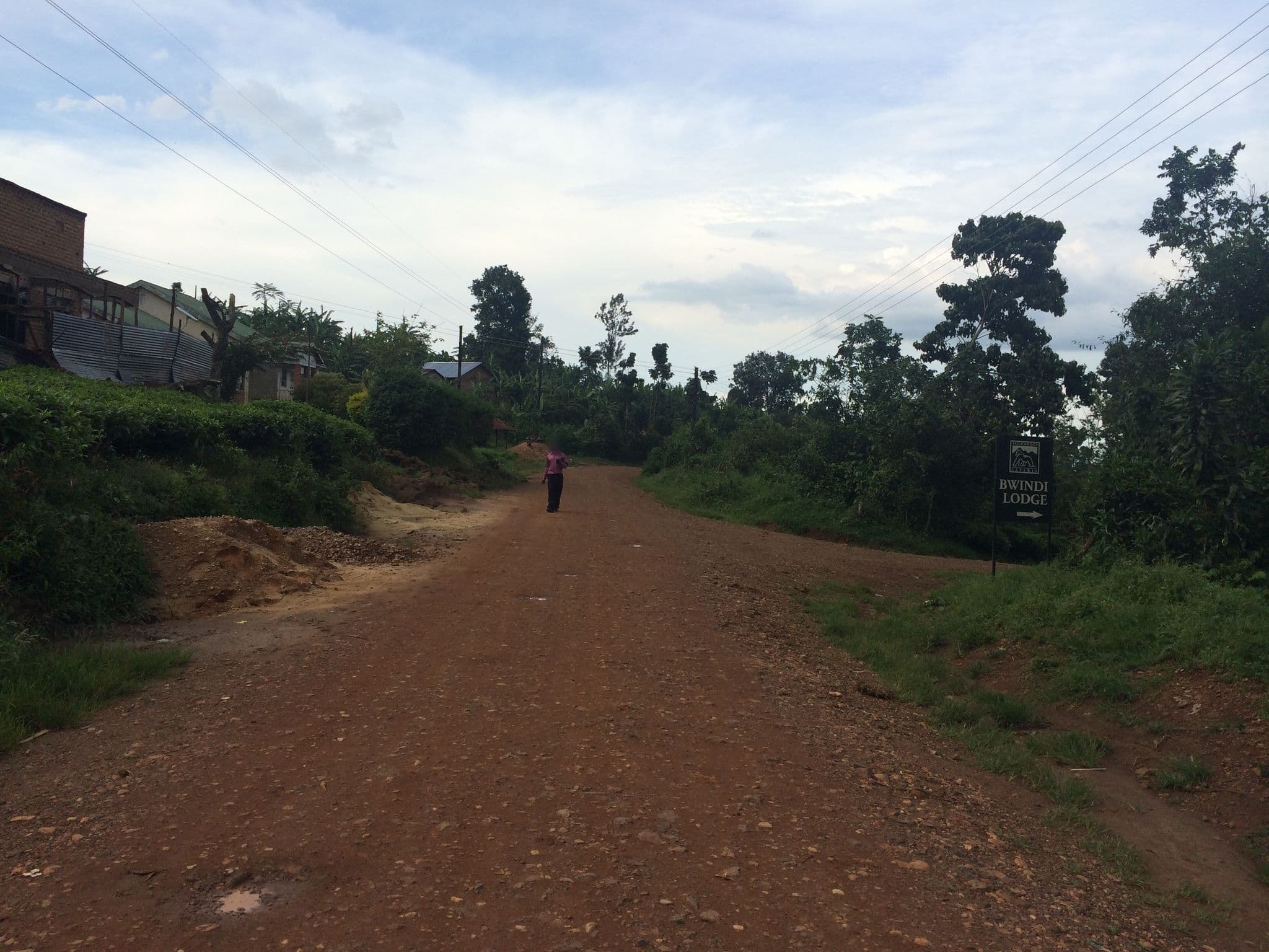 Street view near Mist Lodge Buhoma, Kanungu — © matilda (CC BY-SA · Mapillary)