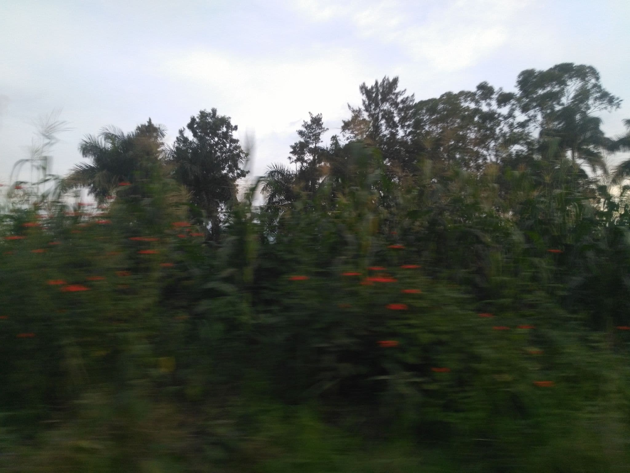 Street view near Kabalega, Jinja — © ralebipim (CC BY-SA · Mapillary)