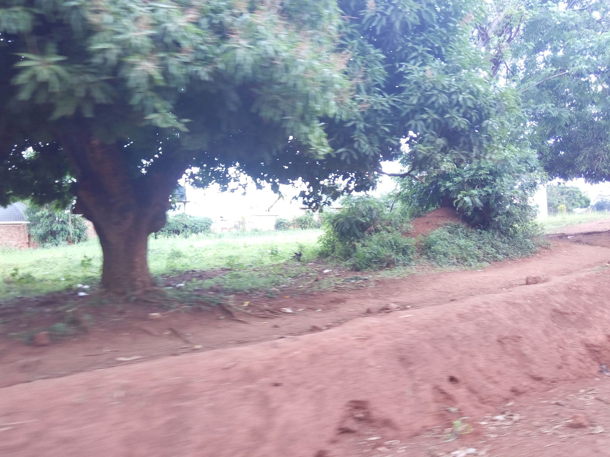 Street view near Lado Hotel Masindi, Masindi — © jozef020 (CC BY-SA · Mapillary)