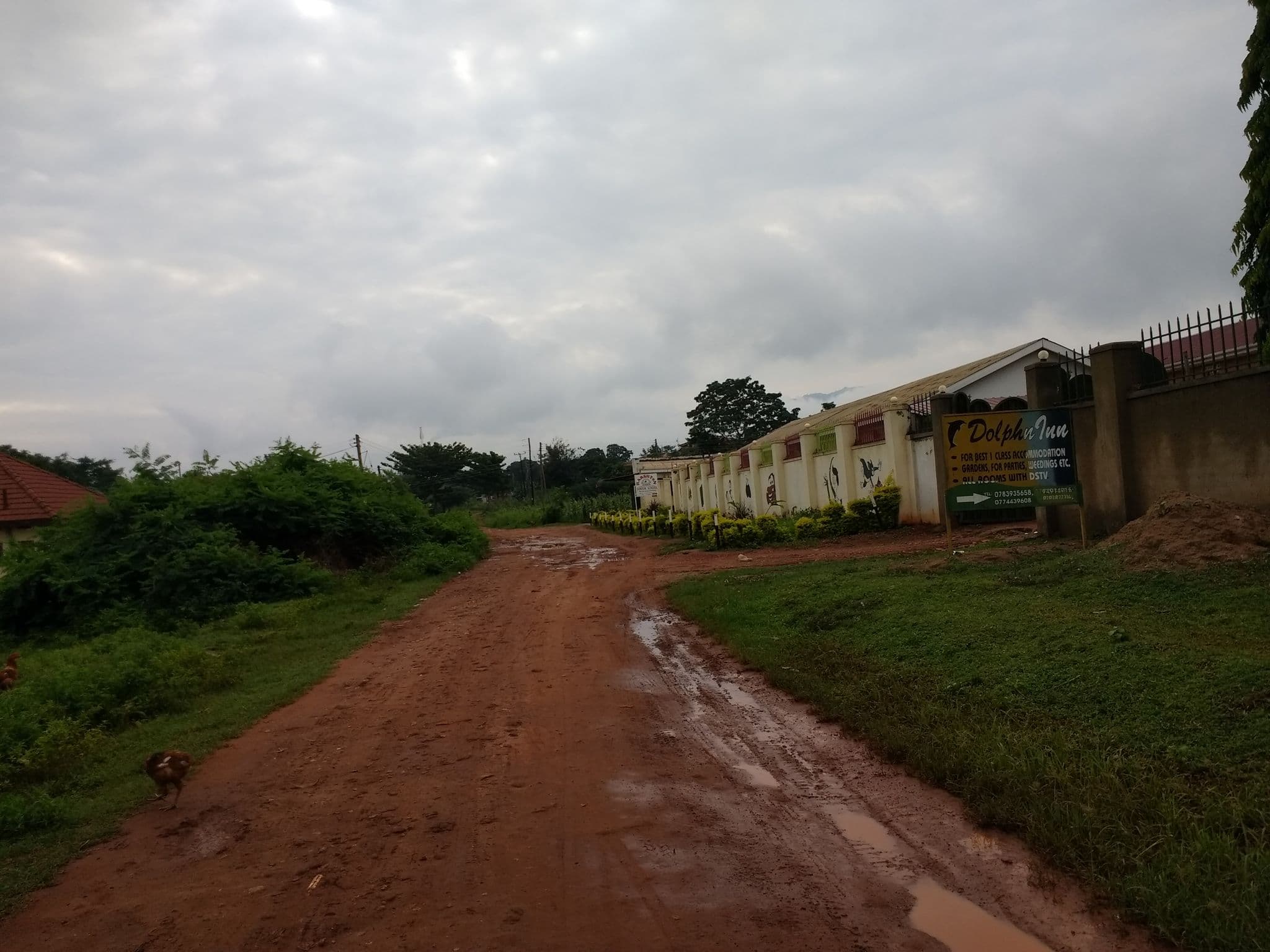 Street view near Dolphin Inn, Mbale — © godenfiles (CC BY-SA · Mapillary)