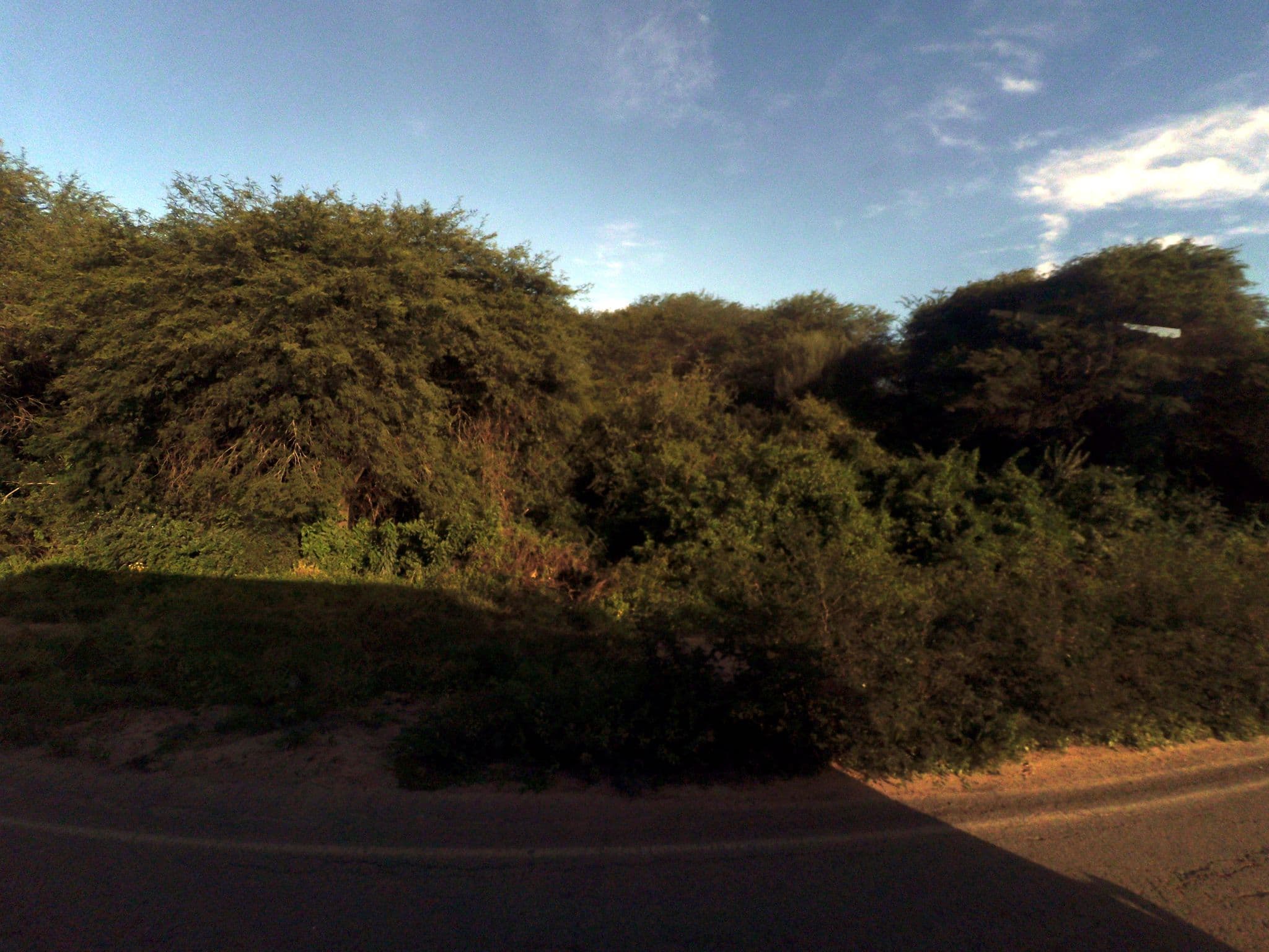 Street view near Alojamiento Los Negros, Mairana — © yoviajo (CC BY-SA · Mapillary)