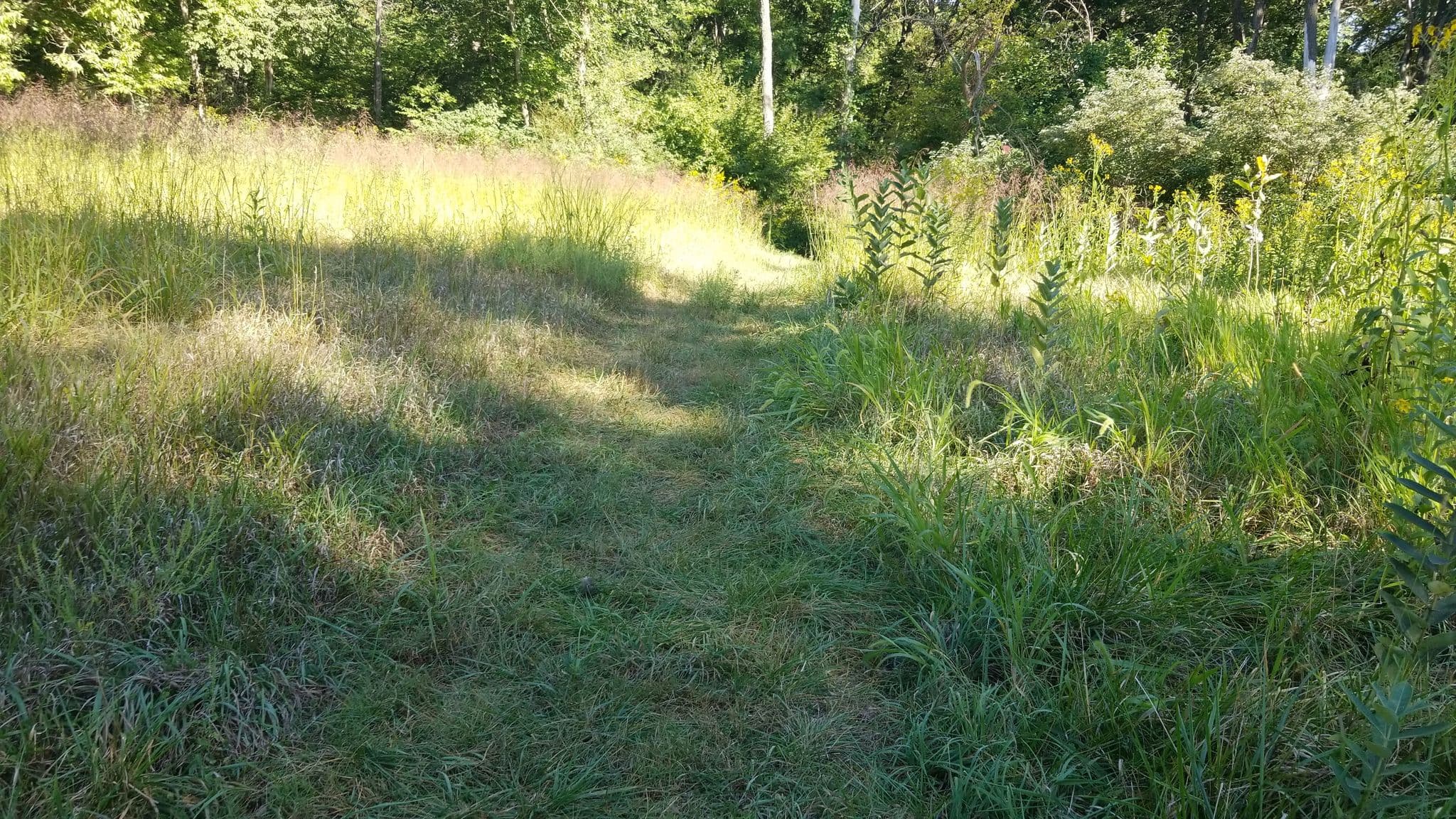 Street view near Camp Logan Fontenelle, Offutt Air Force Base — © midnightcomm (CC BY-SA · Mapillary)