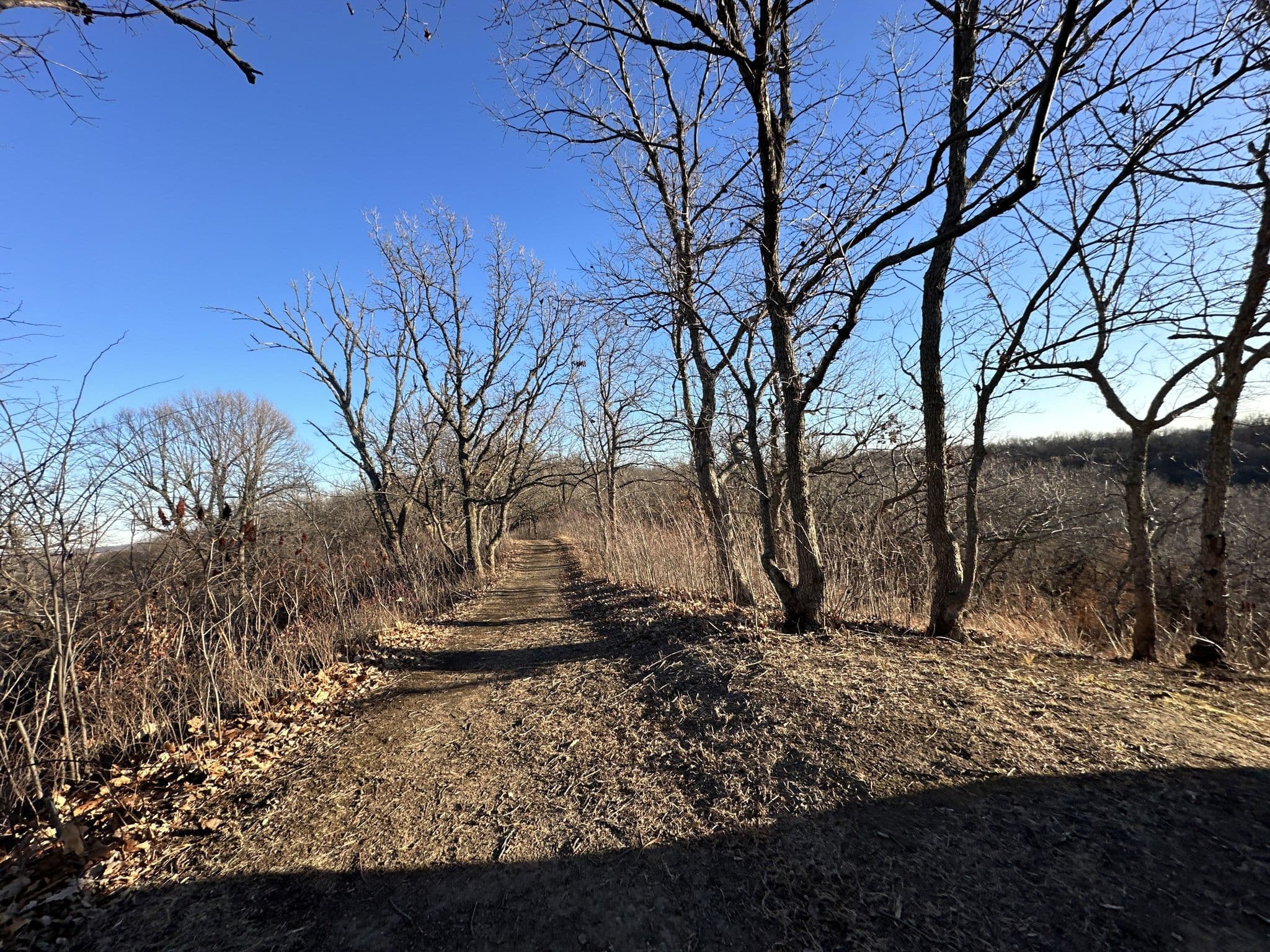 Street view near Adirondack, Rock Port — © quickness805 (CC BY-SA · Mapillary)