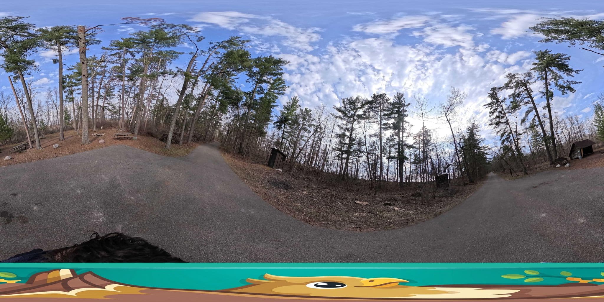 Street view near Bass Creek, Bemidji — © cartographer (CC BY-SA · Mapillary)