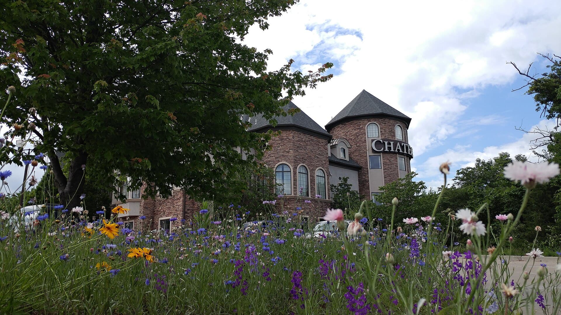 Chateau Avalon (via Wikimedia Commons, CC BY-SA 4.0)