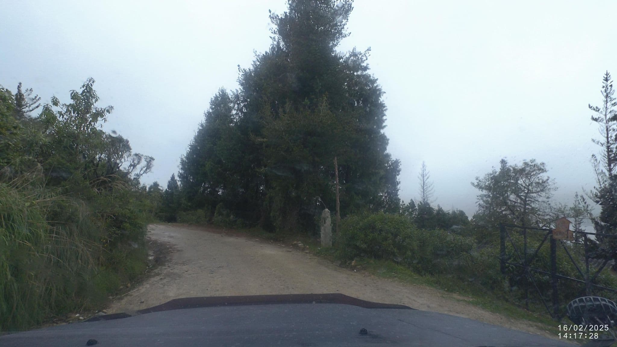Street view near Cabañas Buena Vista, Colomi — © jjiglesias (CC BY-SA · Mapillary)