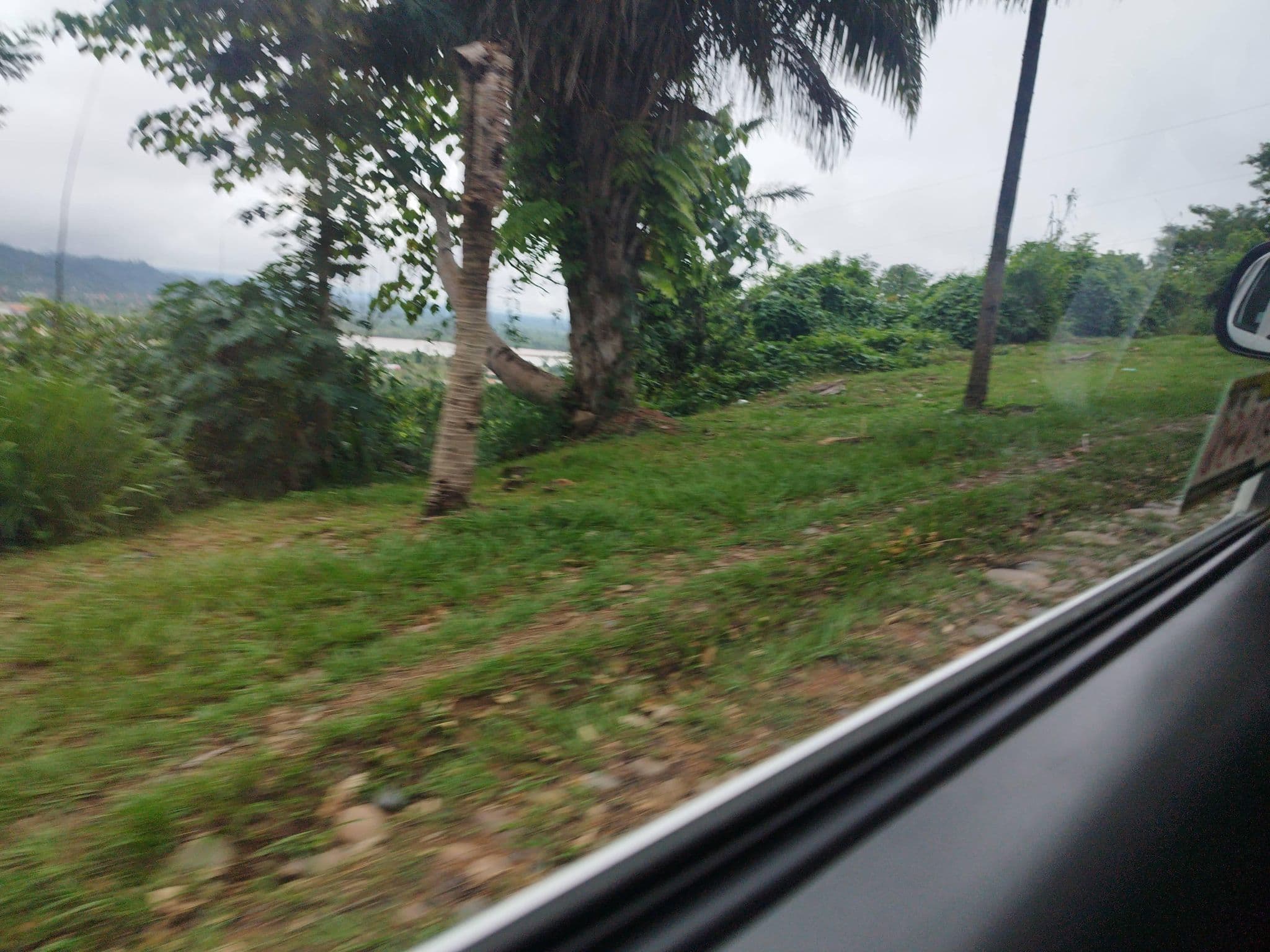 Street view near El Mirador, Rurrenabaque — © rodolfovar (CC BY-SA · Mapillary)