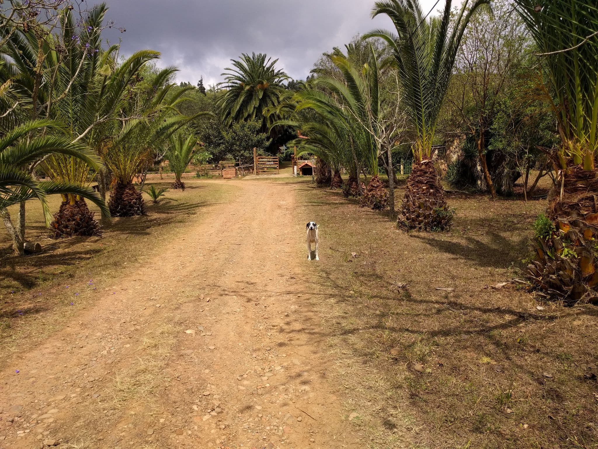 Street view near La Víspera, Samaipata — © yoviajo (CC BY-SA · Mapillary)