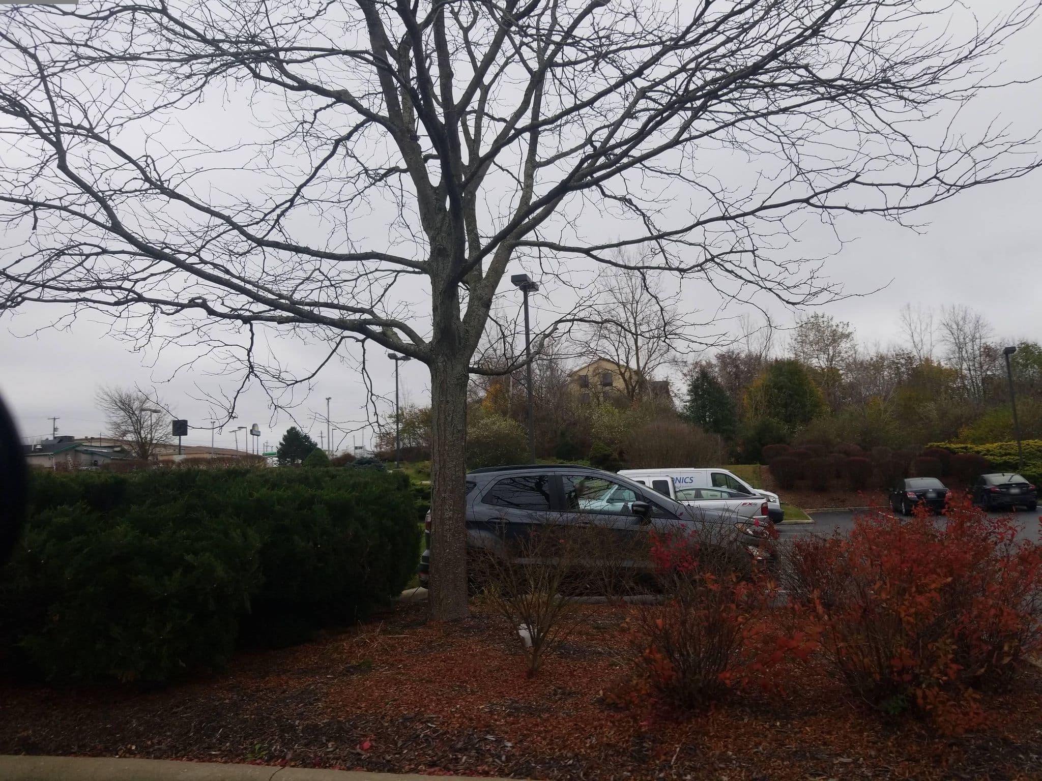 Street view near Holiday Inn Express, Tallmadge — © DrivingRoundTown (CC BY-SA · Mapillary)