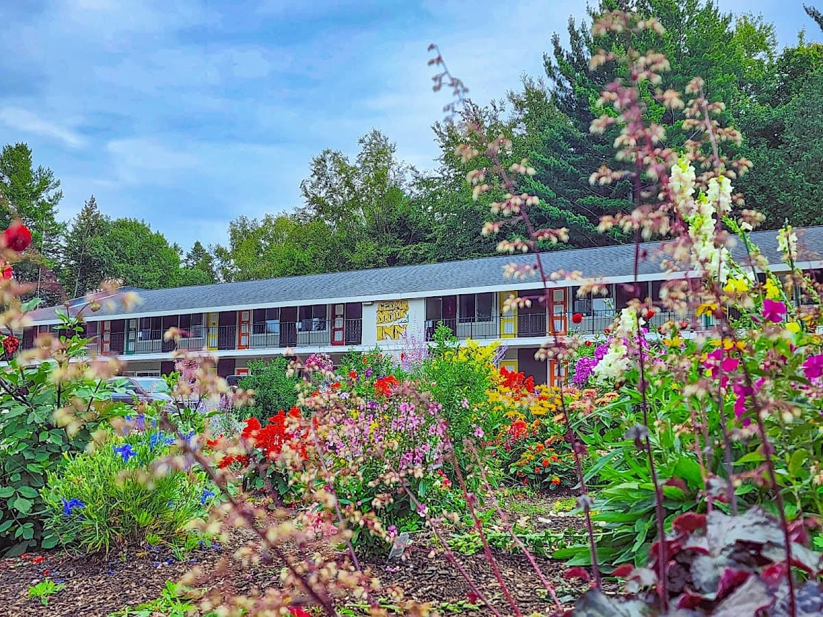Cedar Motor Inn, Motel in Trowbridge Park
