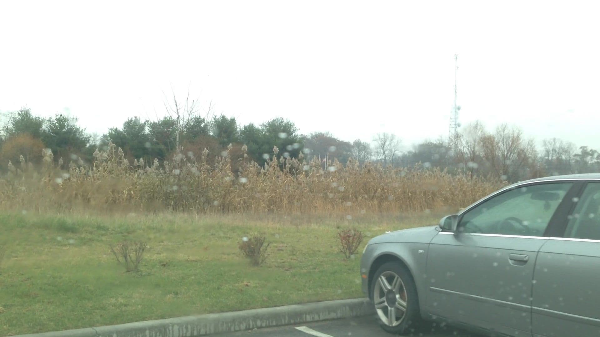 Street view near Holiday Inn Mishawaka, Mishawaka — © lvl5 (CC BY-SA · Mapillary)