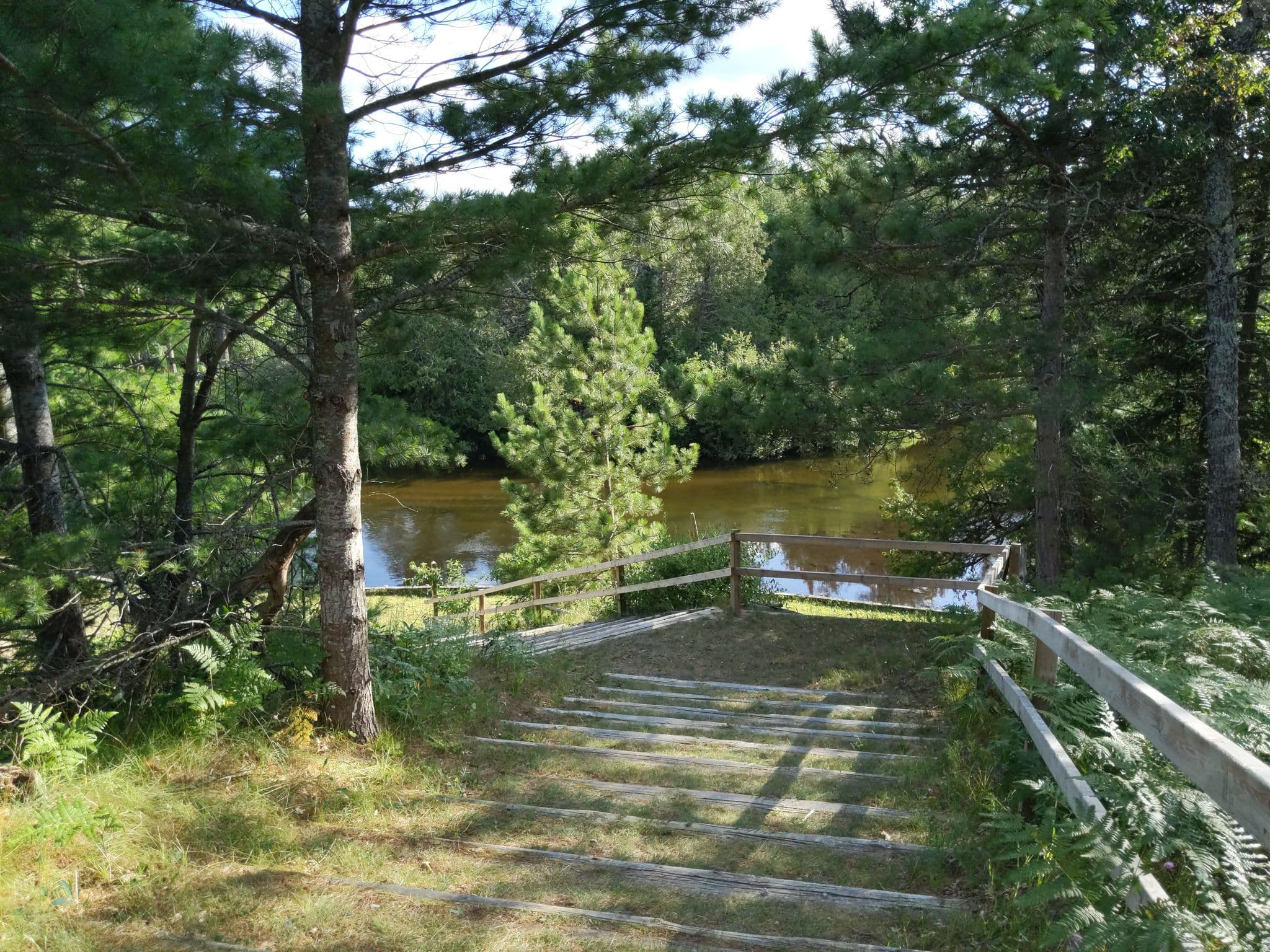 Street view near AuSable River State Forest Campground and Canoe Camp, Grayling — © treestryder (CC BY-SA · Mapillary)