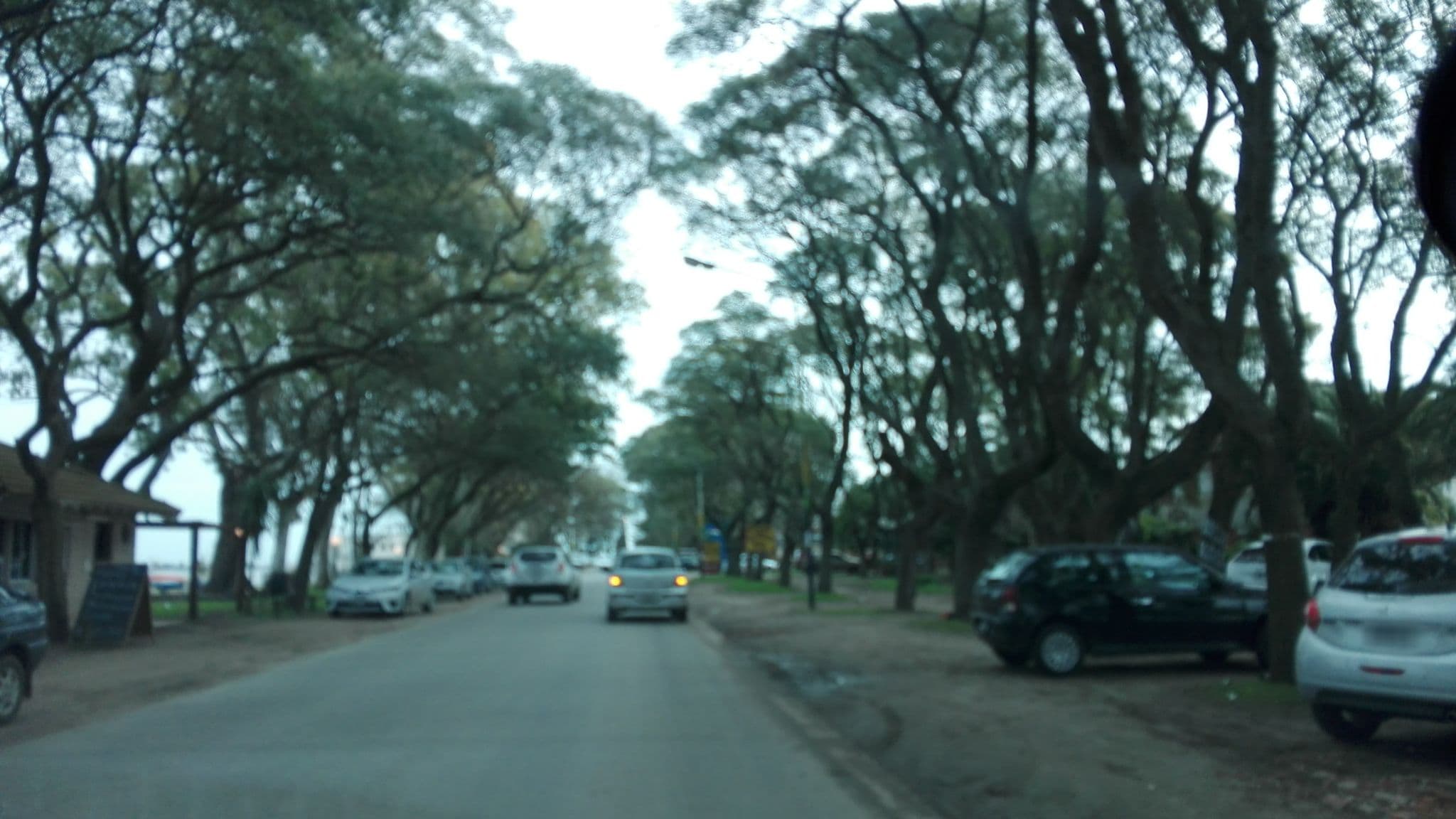 Street view near Apart La Posada, Chascomús — © nicfer (CC BY-SA · Mapillary)