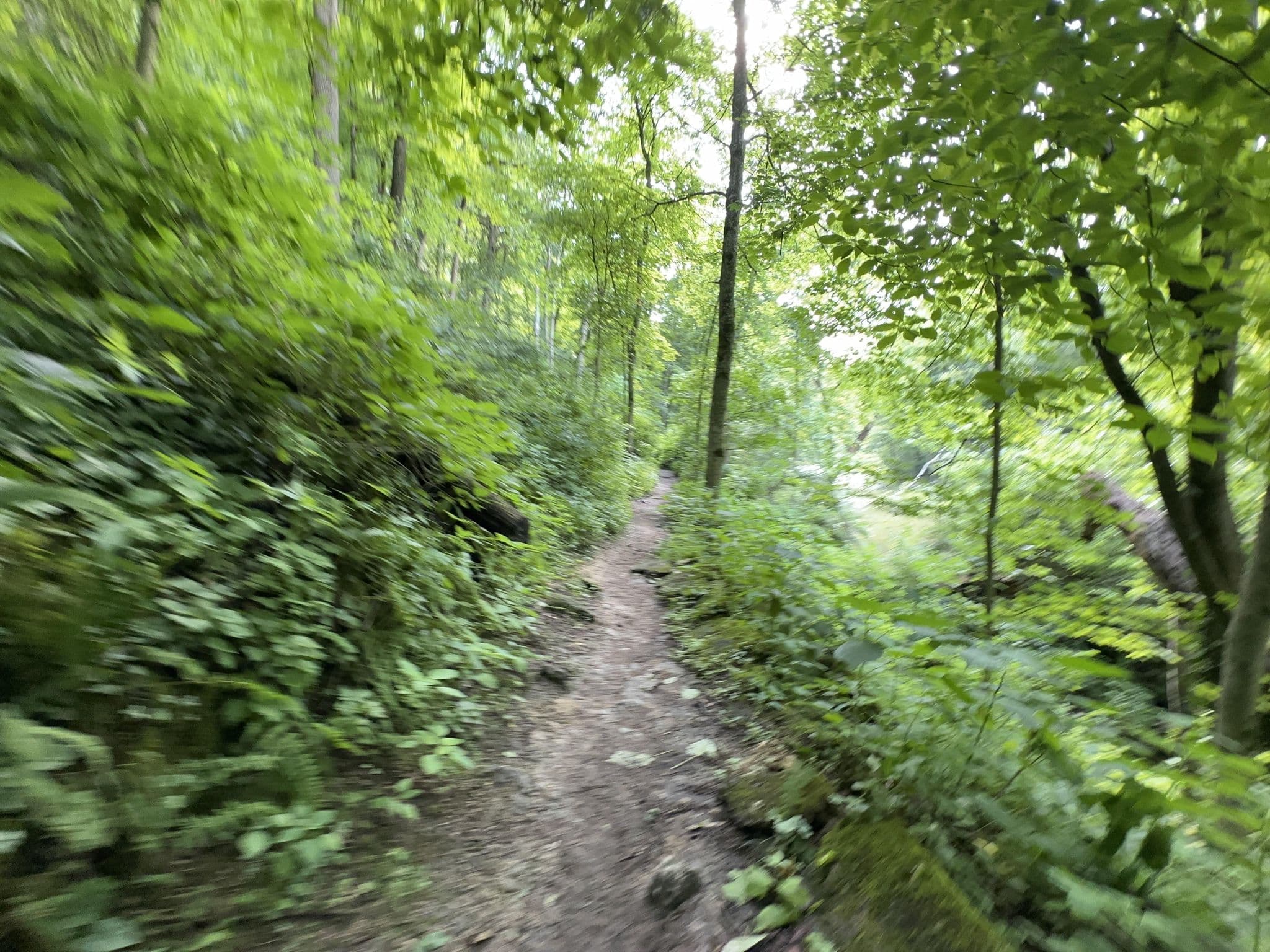 Street view near 4-H Camp Clifton, Yellow Springs — © lake_e (CC BY-SA · Mapillary)