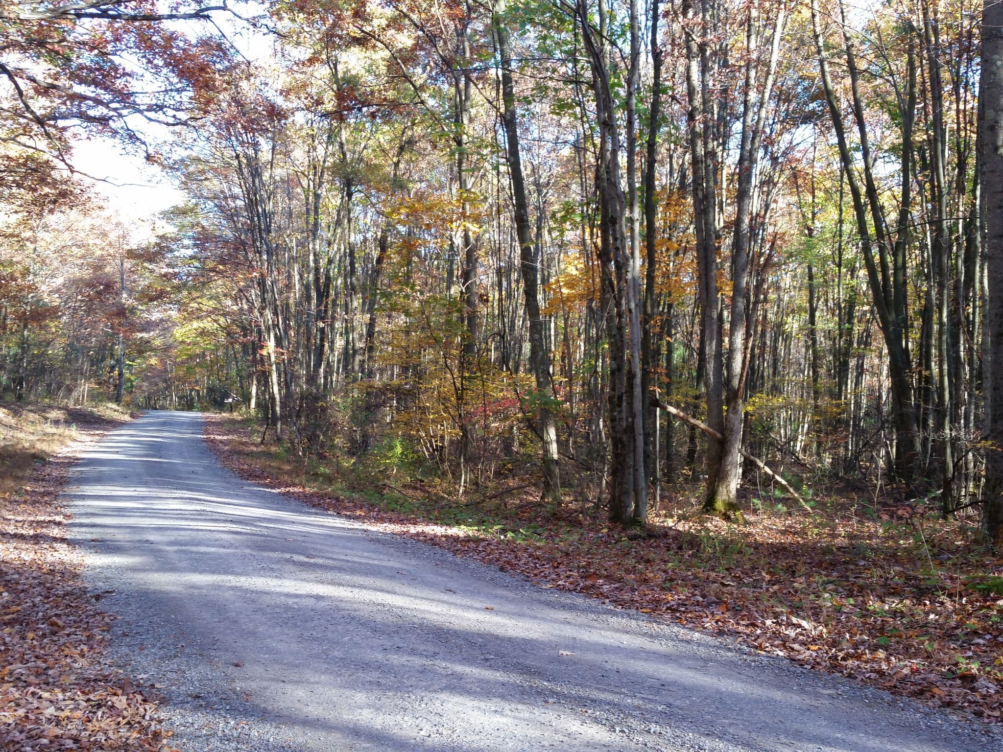 Street view near 004 Spruce Run Road, Mifflinburg — © bonius (CC BY-SA · Mapillary)