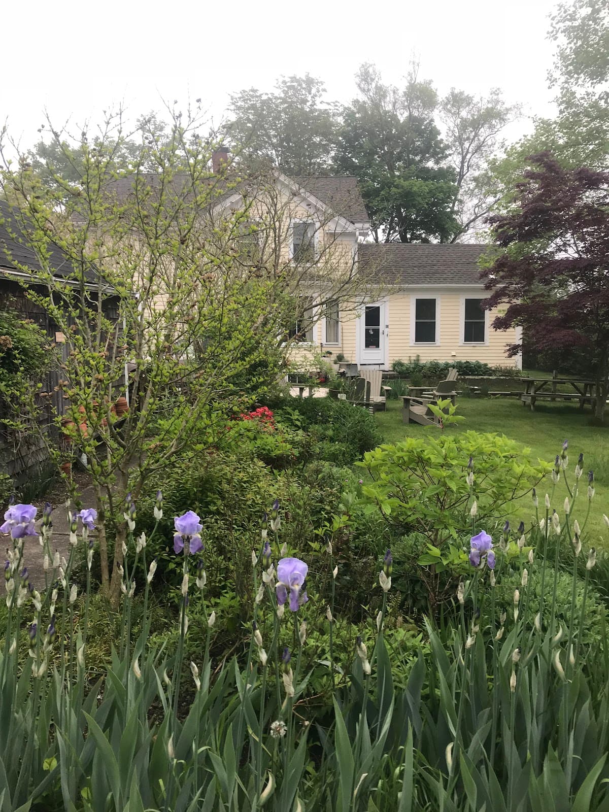 The Look Inn, Hotel in Vineyard Haven
