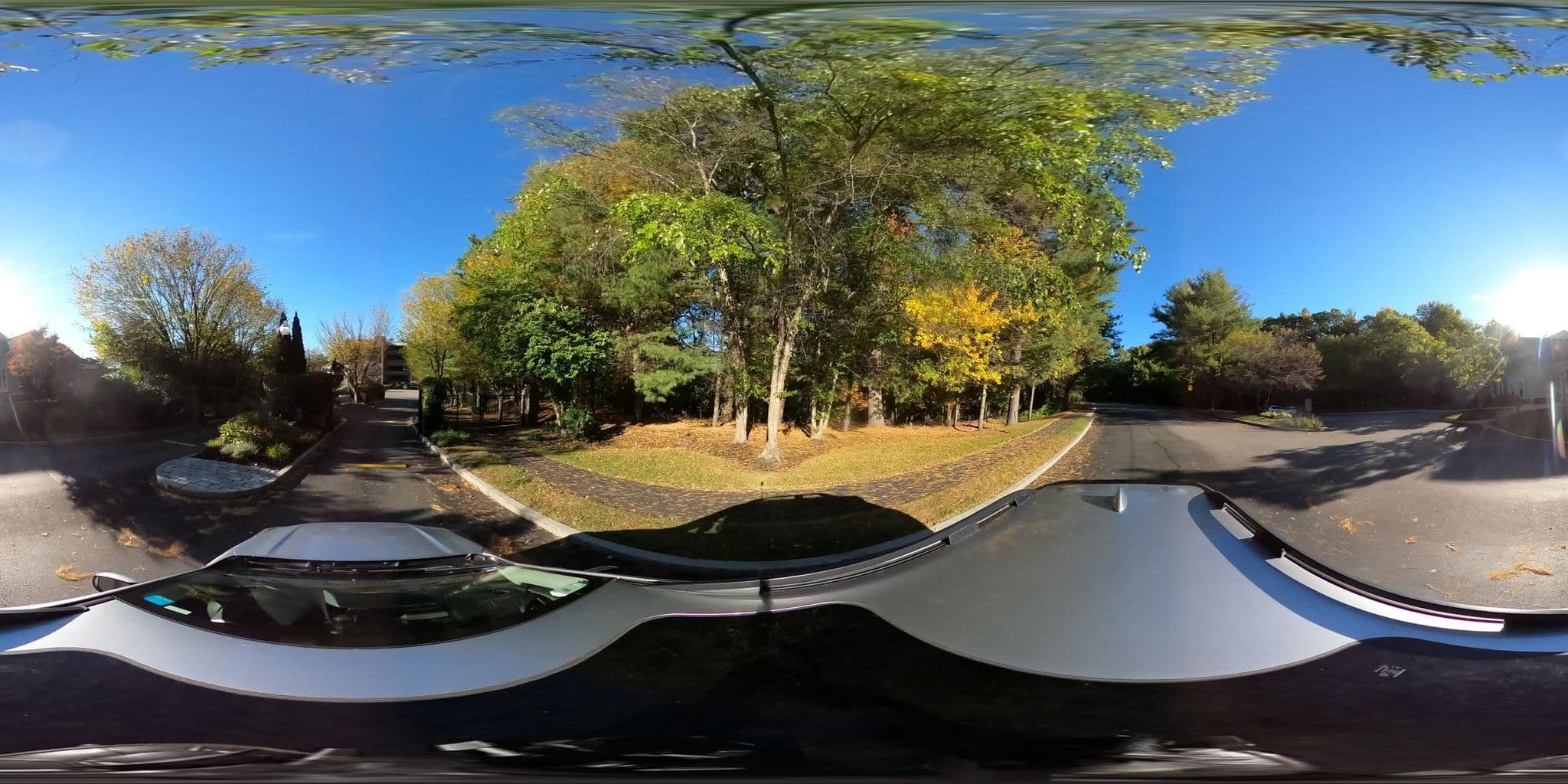 Street view near Avalon, Waltham — © mapillary01730 (CC BY-SA · Mapillary)