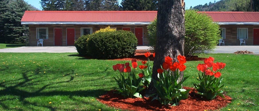 Buttonwood Motel and Restaurant, Motel in Emporium