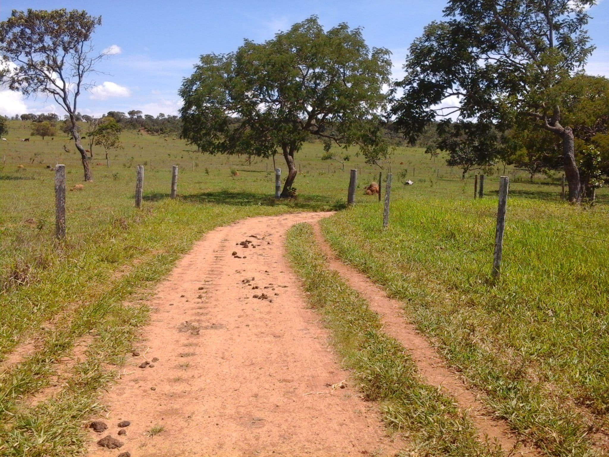 Street view near Hotel Fazenda Cabugi, Alexânia — © linhares (CC BY-SA · Mapillary)