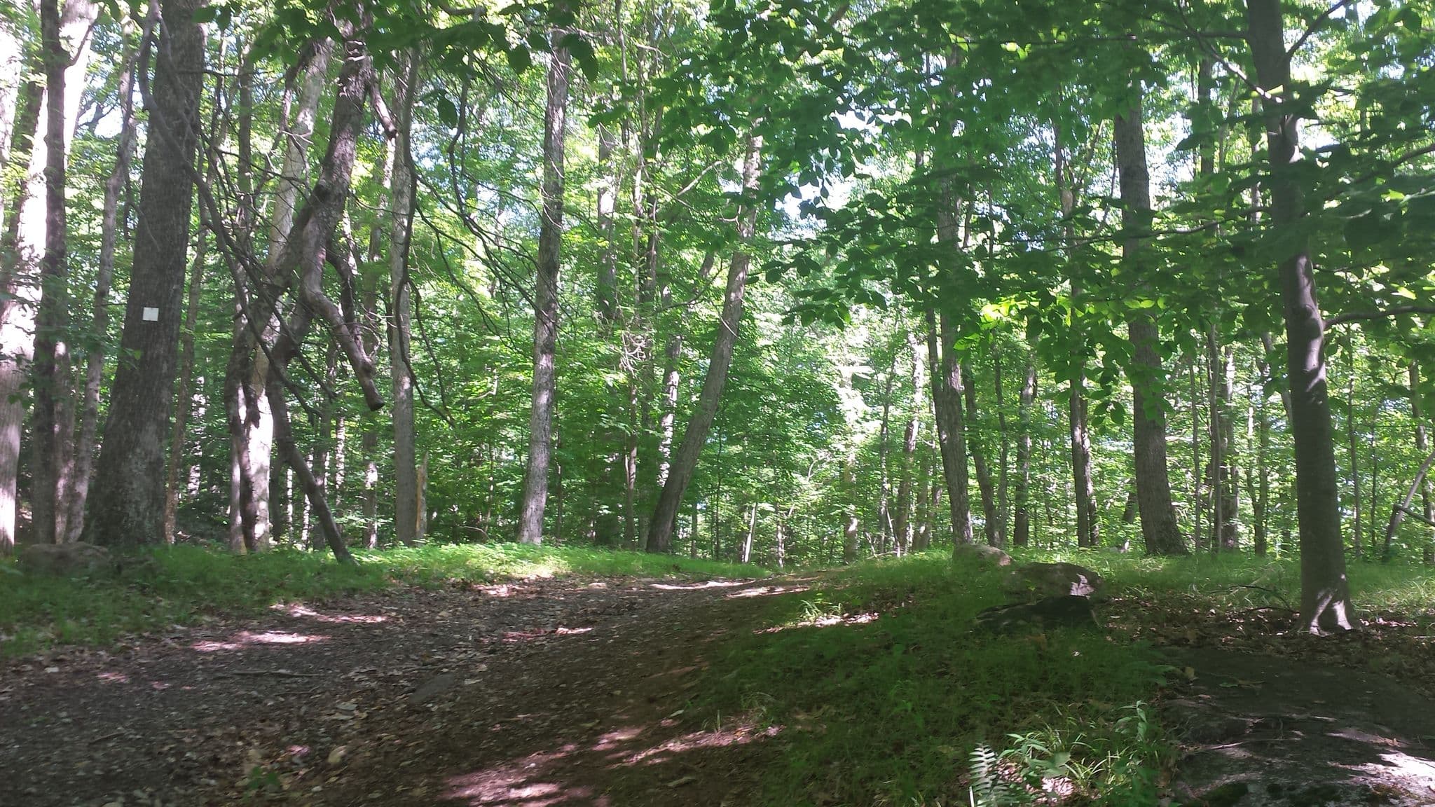 Street view near Shelter #8;Lean-To Campsite #8, Pound Ridge — © westchestergis (CC BY-SA · Mapillary)