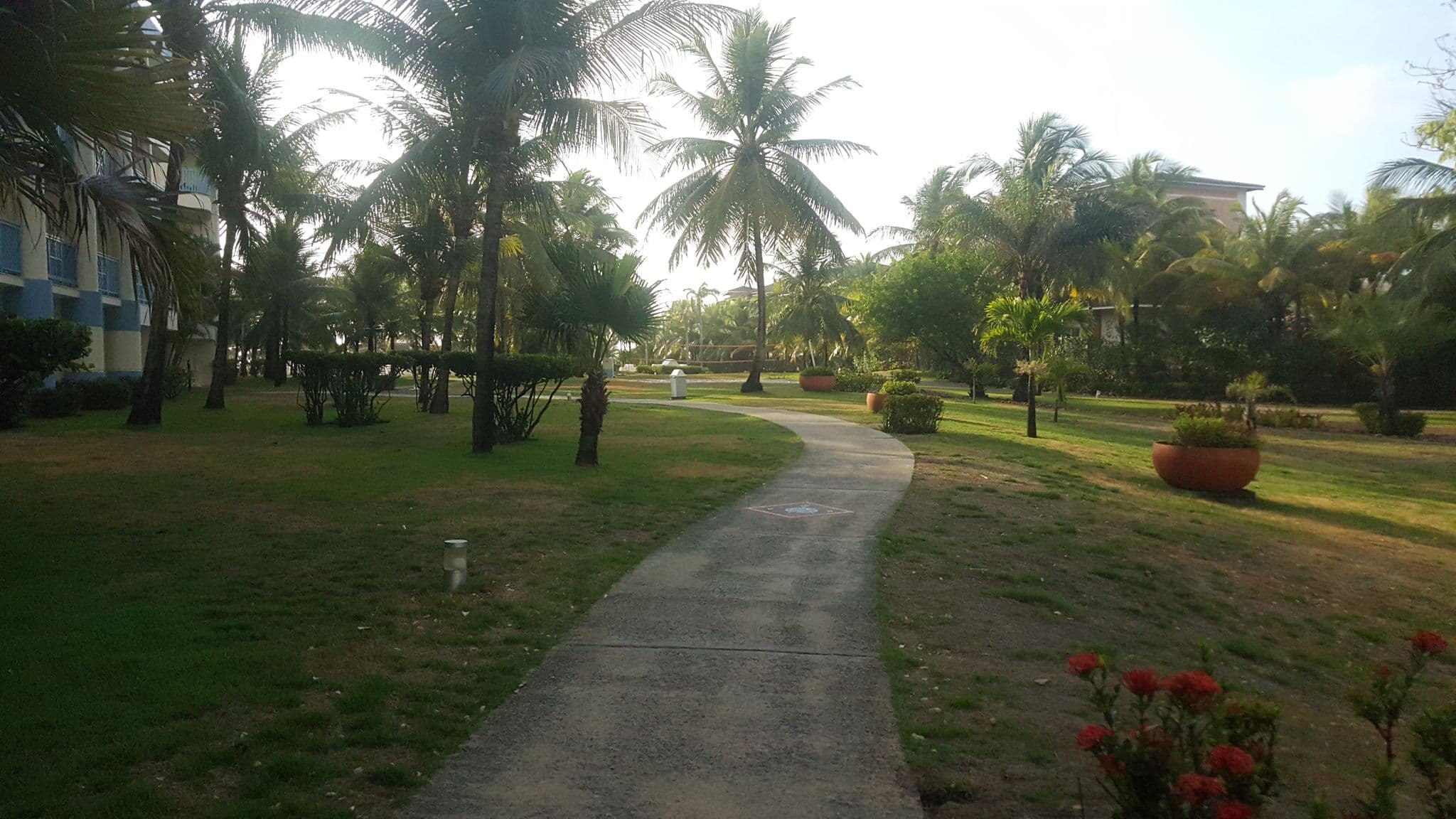 Street view near Sauipe Ala Agua, Itanagra — © diegokrein (CC BY-SA · Mapillary)