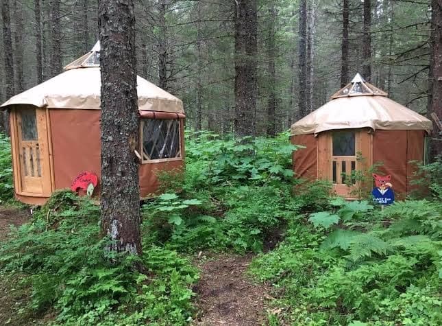 Nauti Otter, Hostel in Bear Creek