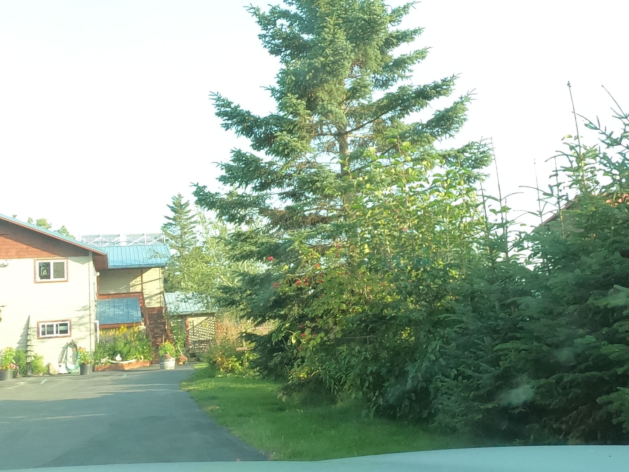 Street view near Bay Avenue Bed & Breakfast Inn, Homer — © missmichiko (CC BY-SA · Mapillary)