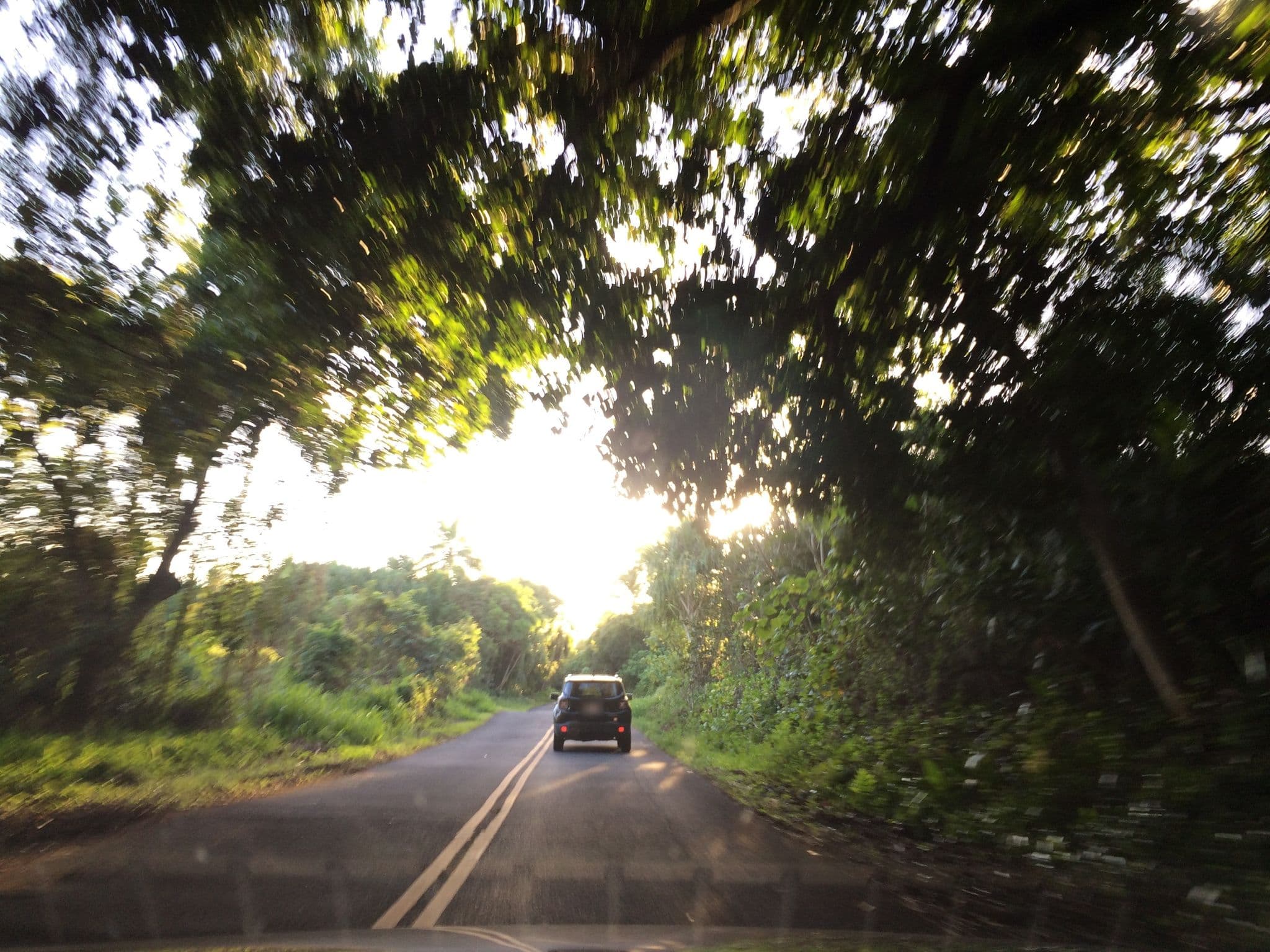 Street view near Kalani Retreat Center, Leilani Estates — © radnaj (CC BY-SA · Mapillary)