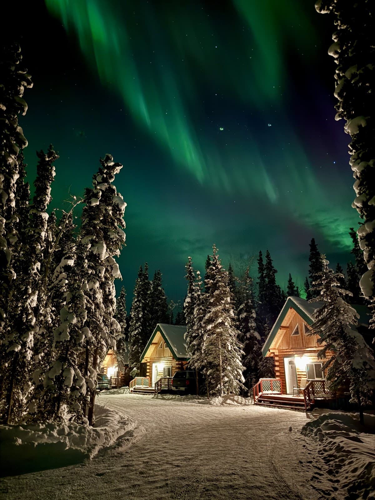 Caribou Cabins, Hotel in Tok