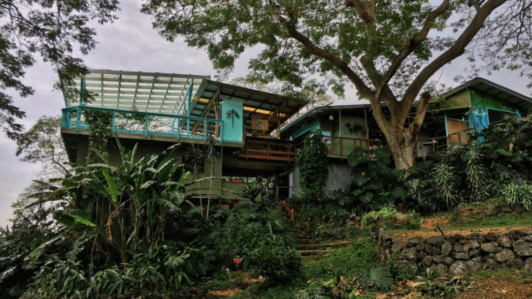 Dragonfly Ranch, Guesthouse in Honaunau-Napoopoo