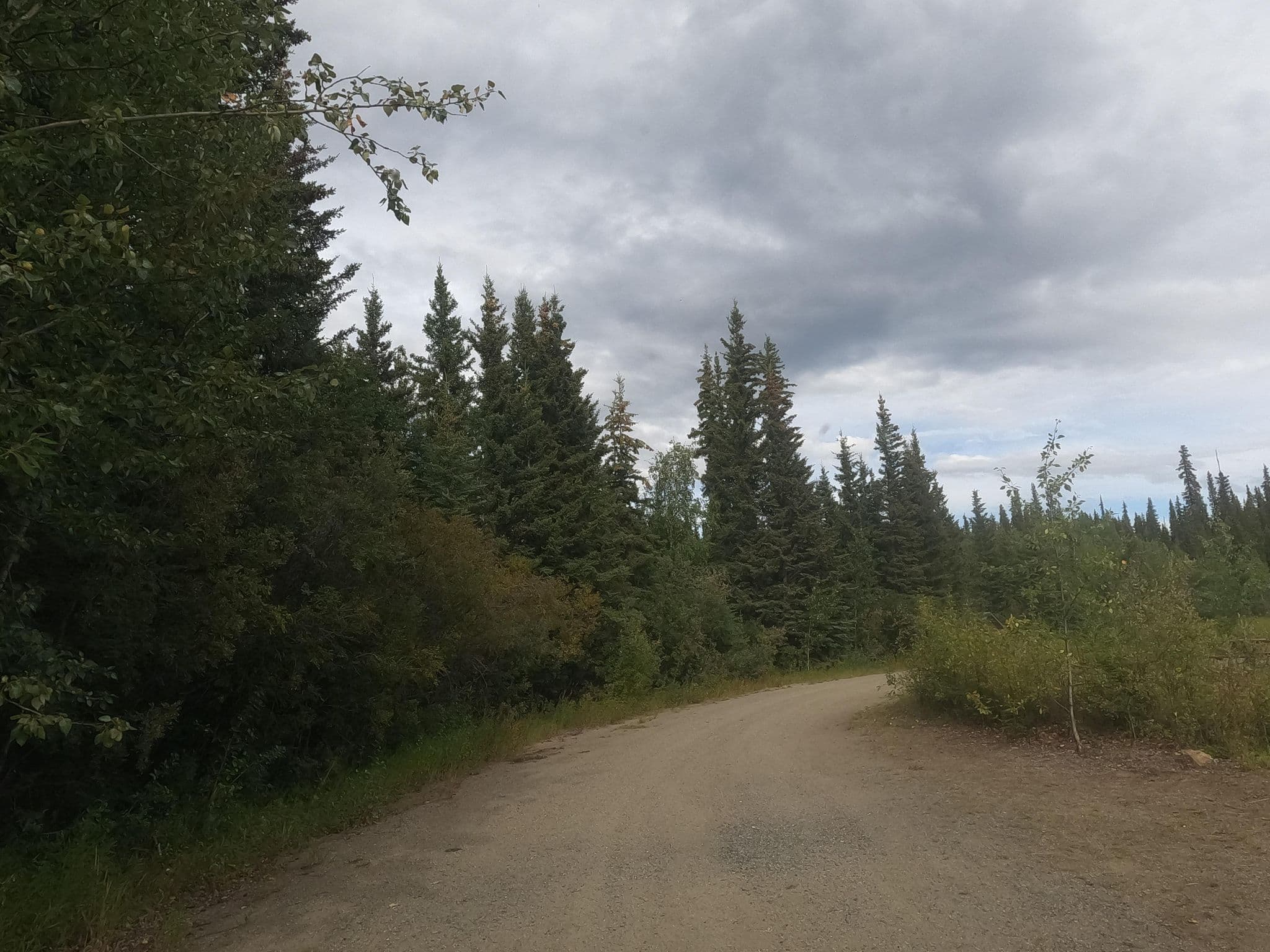 Street view near Tok River State Recreation Site, Tok — © rps333 (CC BY-SA · Mapillary)