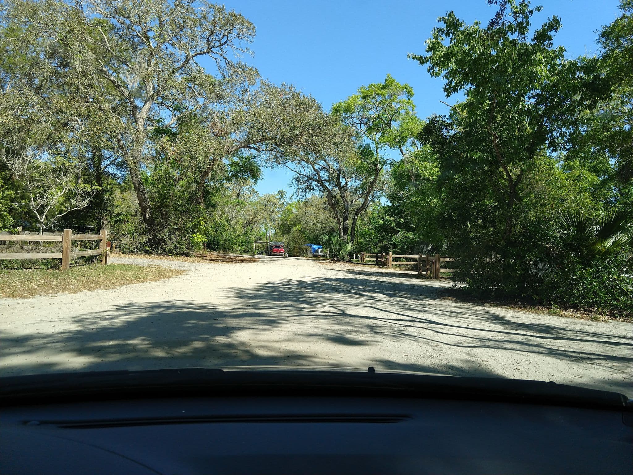 Street view near Lake Griffin State Park Campground, Fruitland Park — © mapillary01730 (CC BY-SA · Mapillary)