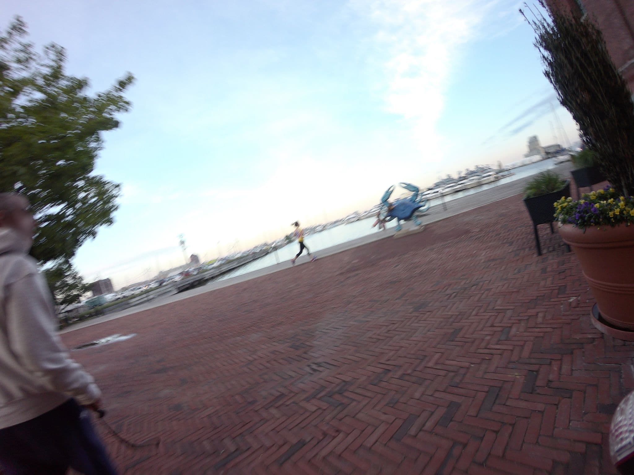 Street view near The Inn at Henderson's Wharf, Fells Point — © talllguy (CC BY-SA · Mapillary)
