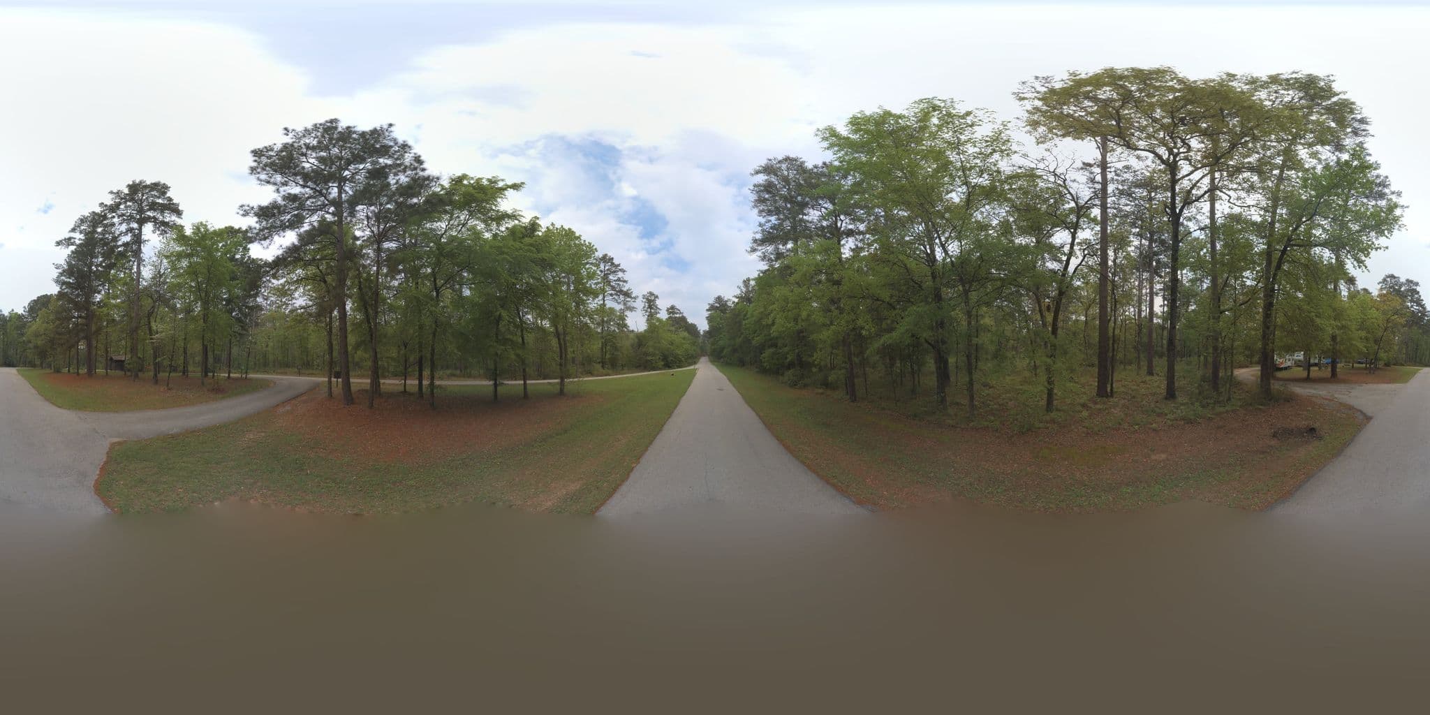 Street view near Cagle Recreation Area, New Waverly — © microsoft (CC BY-SA · Mapillary)