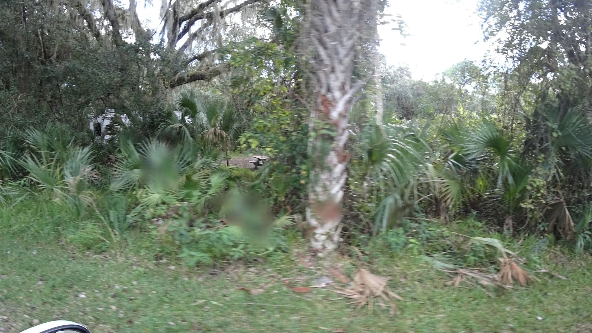 Street view near OP36, Lake Sarasota — © jpace (CC BY-SA · Mapillary)