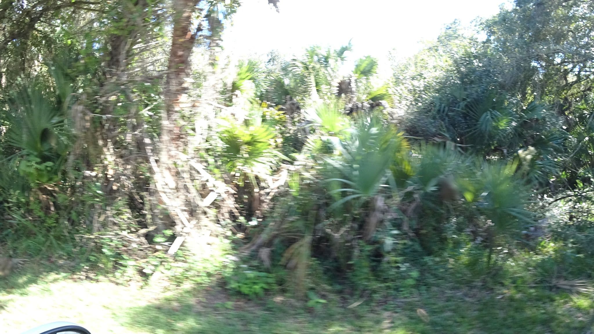Street view near OP37, Lake Sarasota — © jpace (CC BY-SA · Mapillary)